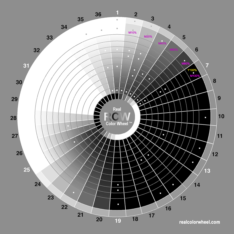 CMYK Real Color Wheel Magenta plate