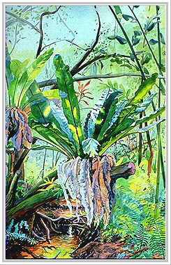 watercolor