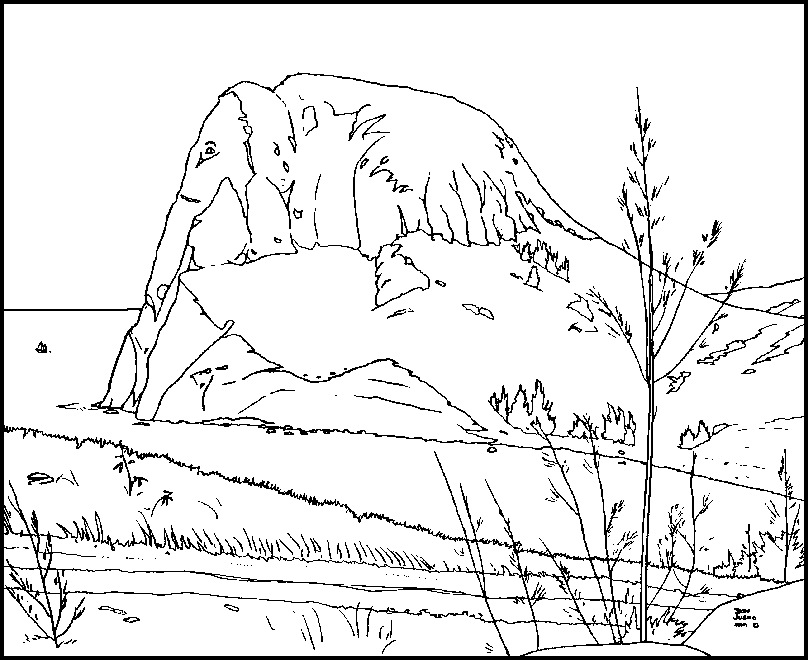 Kahakaloa Head Elephant