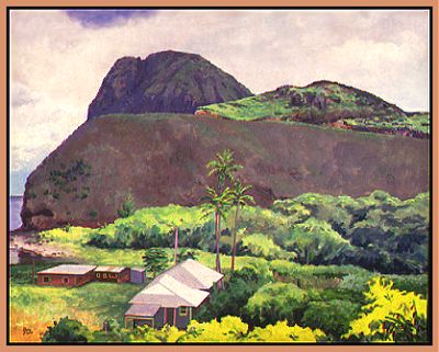 The Kahakaloa Zoo