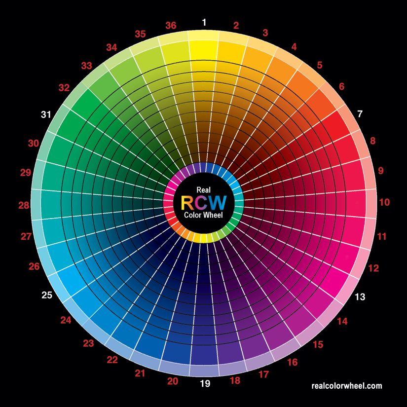 Real Colour Wheel without pigment dots