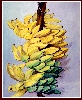 #01, 66 Bananas