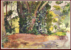 #09 Hana Vine Tree, W/C