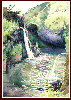 #11 Hanawai Pool. W/C