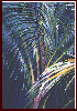 #15, Palm Fronds, Acrylic