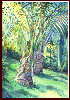 #18, Two Palms, Water Color