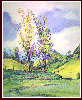 #19, Two Firs