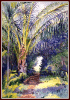 #24, Phil's Pathway, W/C