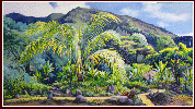 26, Iao Valley Palm Garden