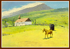 32, Aloha Church Horse