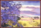 #52, pastel, Kula Jacaranda Tree