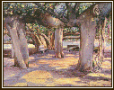 #55, Lahaina Banyan Tree, WC, Tips for mixing oil colors