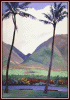 #57, Lahaina Loniapoko Park, Acrylic on panel