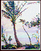 #60, Lahaina Palm 505, W/C