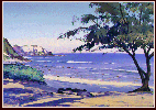 #65, Flemming Beach, Maui, Hawaii, Acrylic