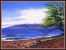 #76,Olawalu Beach