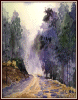 #85, Poli Poli Skyline Drive 2, 11x15, Water Color