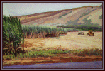 #91, Valley Harvest, 7.5x11, Acrylic Painting