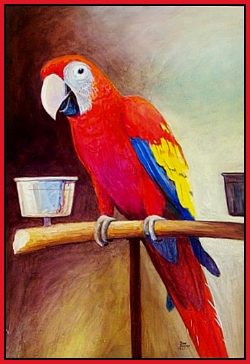 The Scarlet Macaw, now this bird can talk, and talk....