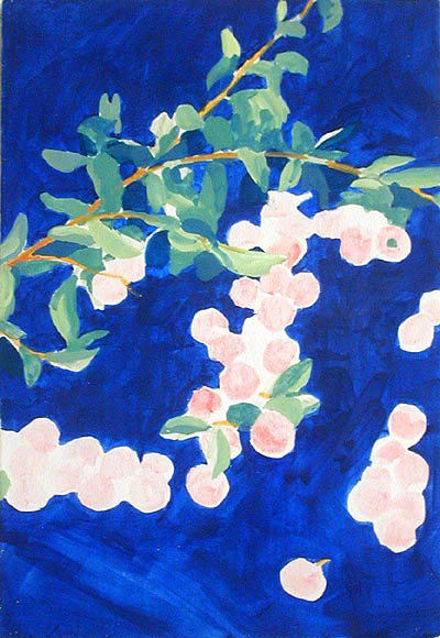 Aureola Cherries, Buon Fresco