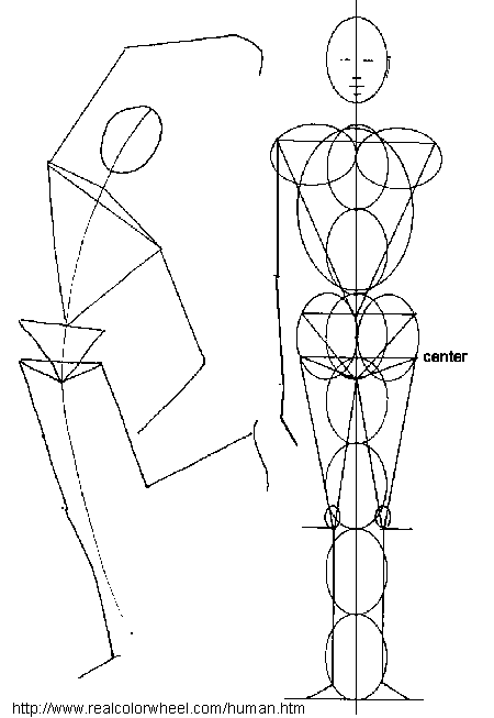 How to draw the human figure - Female Proportions