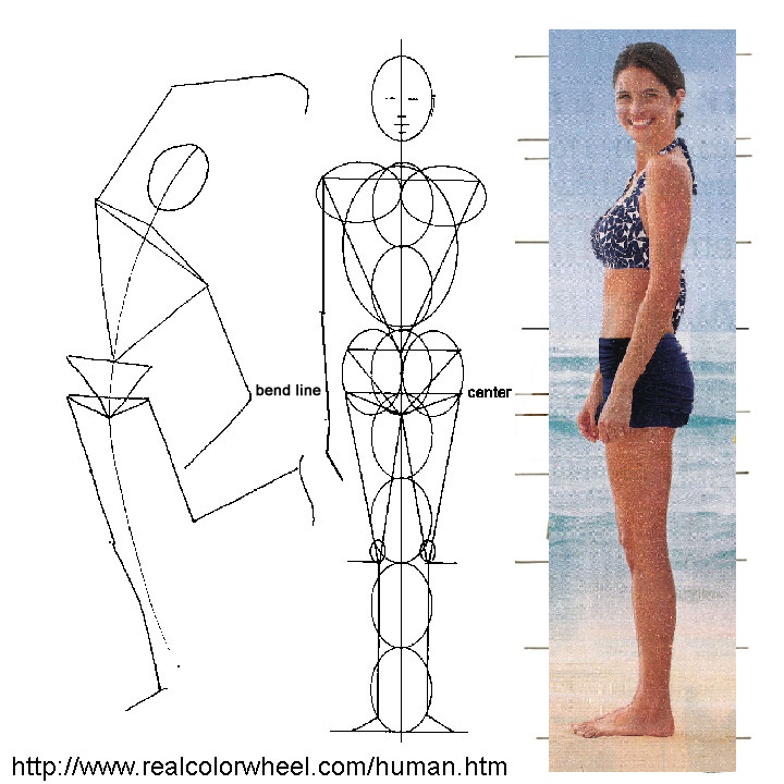 Human Figure Drawing Proportions