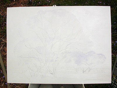 White wash