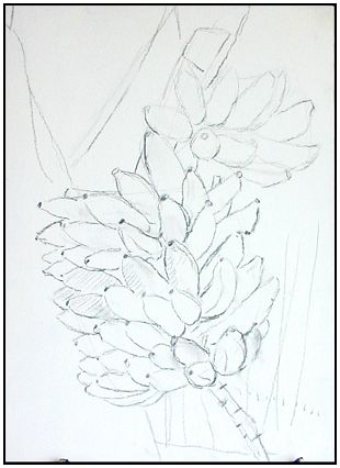Charcoal