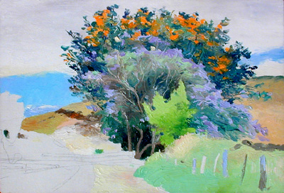 Jacaranda and Silver Oak