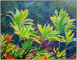 Ti Plants