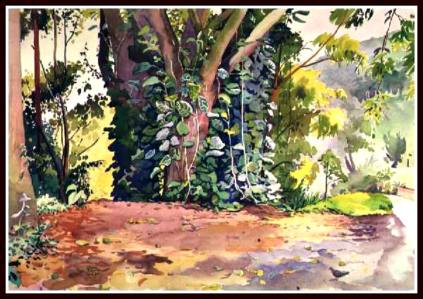 Hana Vine Tree, Watercolor, 15x22
