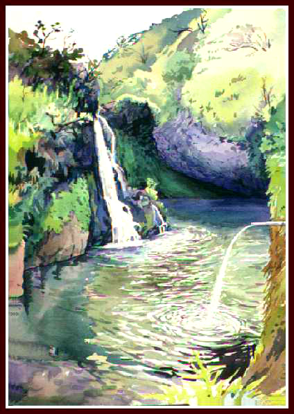 #11 Hanawai Drinking Pool, 15x22, Watercolor