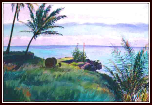 46 Kipahulu Dock