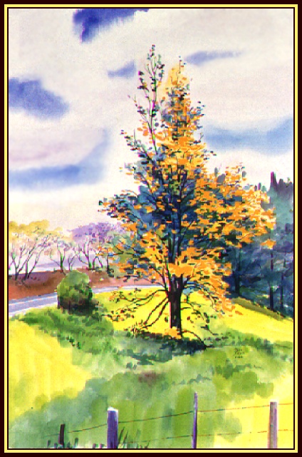 #86, Pukalani Silver Oak, 11x15, Water Color